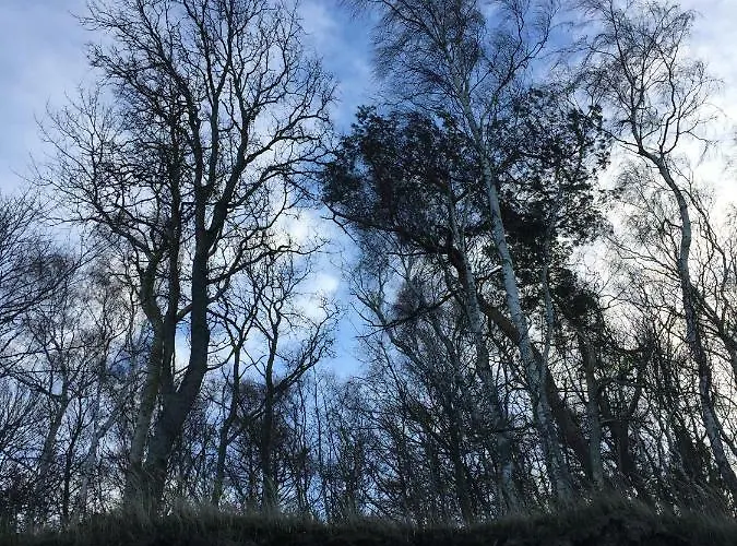 Apartamento Apartament_20